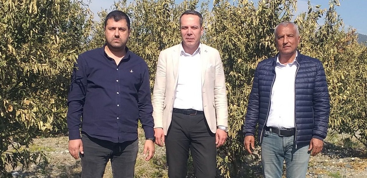 Kaymakamımız Sayın Onur ÖZAYDIN, zirai don olayından etkilenen tarım arazilerinde incelemelerde bulundu.